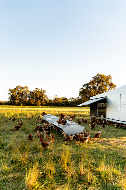 Winterbrook Pasture raised eggs 800g